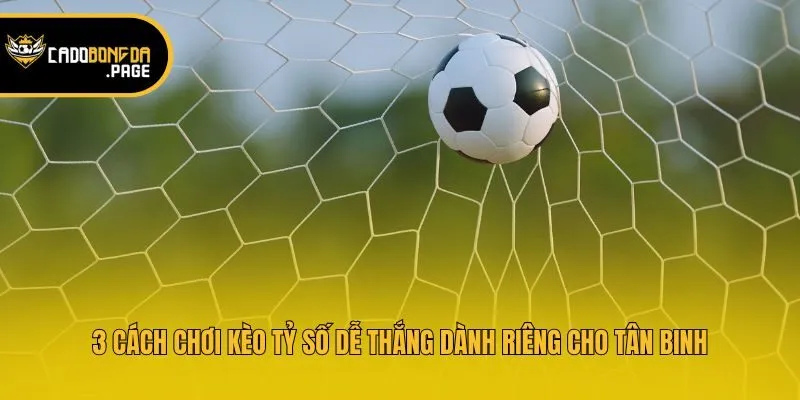 3 Cách Chơi Kèo Tỷ Số Dễ Thắng Dành Riêng Cho Tân Binh