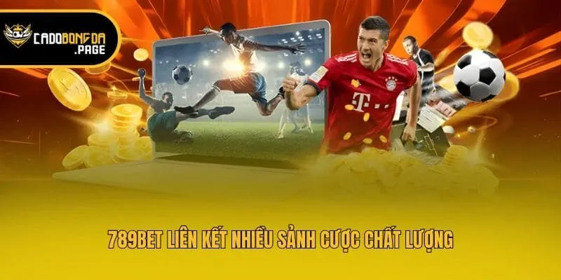 789bet liên kết nhiều sảnh cược chất lượng