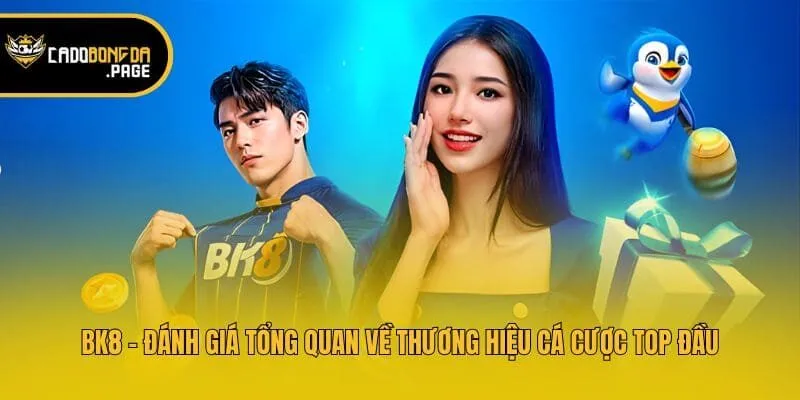 BK8 - Đánh Giá Tổng Quan Về Thương Hiệu Cá Cược Top Đầu