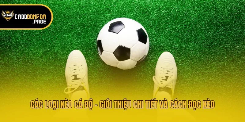 Các Loại Kèo Cá Độ - Giới Thiệu Chi Tiết Và Cách Đọc Kèo