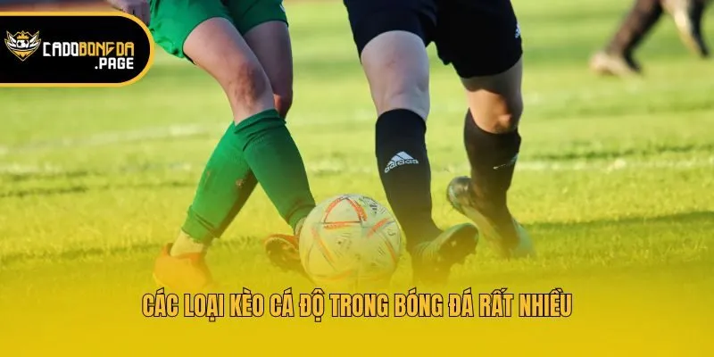 Các loại kèo cá độ trong bóng đá rất nhiều