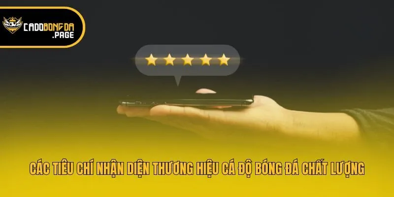 Các tiêu chí nhận diện thương hiệu cá độ bóng đá chất lượng