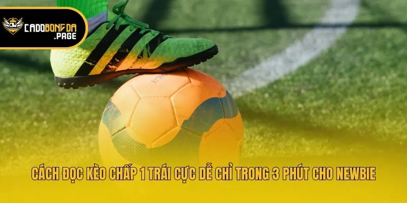 Cách Đọc Kèo Chấp 1 Trái Cực Dễ Chỉ Trong 3 Phút Cho Newbie