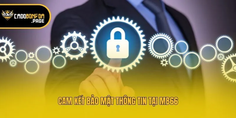 Cam kết bảo mật thông tin tại MB66