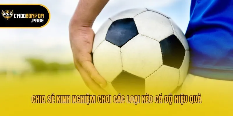 Chia sẻ kinh nghiệm chơi các loại kèo cá độ hiệu quả