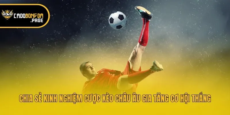 Chia sẻ kinh nghiệm cược kèo châu Âu gia tăng cơ hội thắng