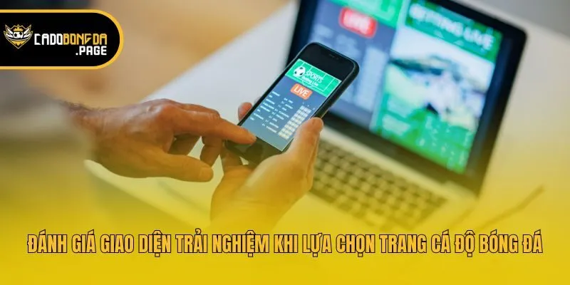 Đánh giá giao diện trải nghiệm khi lựa chọn trang cá độ bóng đá