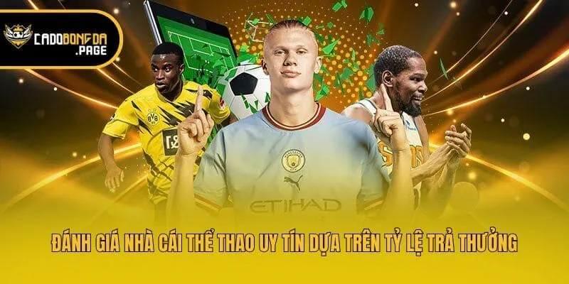 Đánh giá nhà cái thể thao uy tín dựa trên tỷ lệ trả thưởng