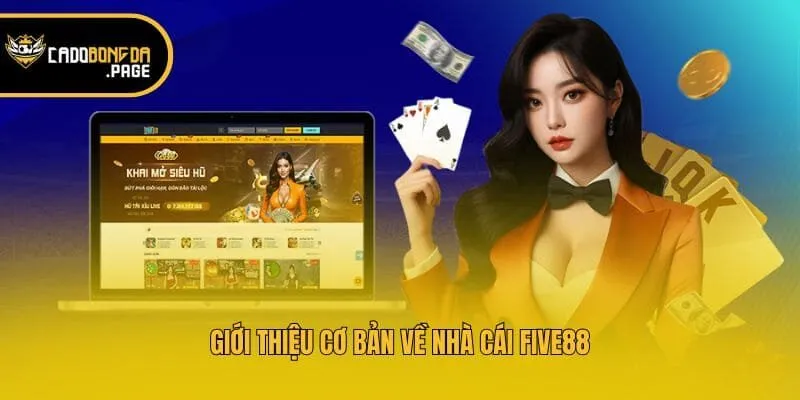 Giới thiệu cơ bản về nhà cái Five88