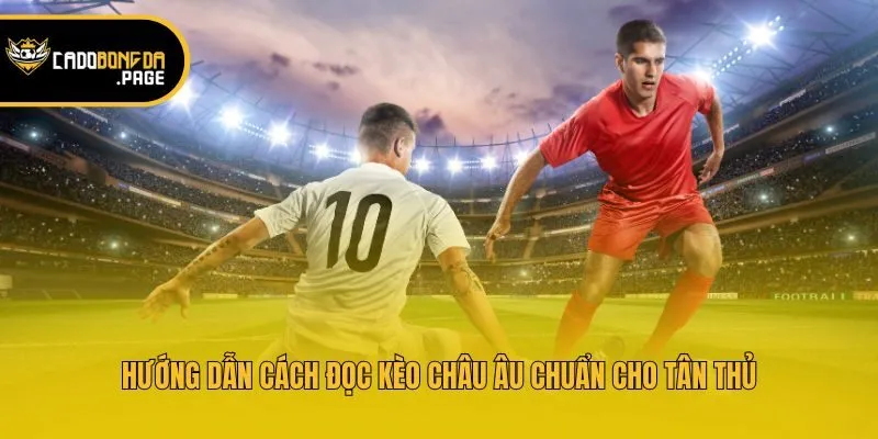 Hướng dẫn cách đọc kèo châu Âu chuẩn cho tân thủ