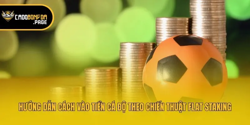 Hướng dẫn cách vào tiền cá độ theo chiến thuật flat staking