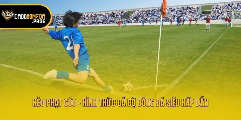 Kèo Phạt Góc - Hình Thức Cá Độ Bóng Đá Siêu Hấp Dẫn
