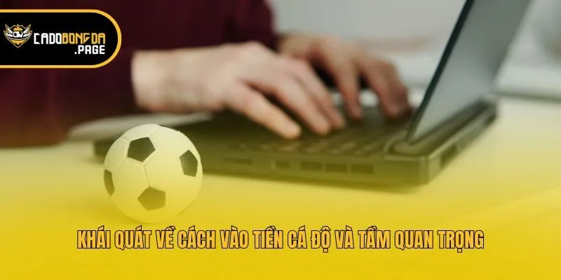 Khái quát về cách vào tiền cá độ và tầm quan trọng