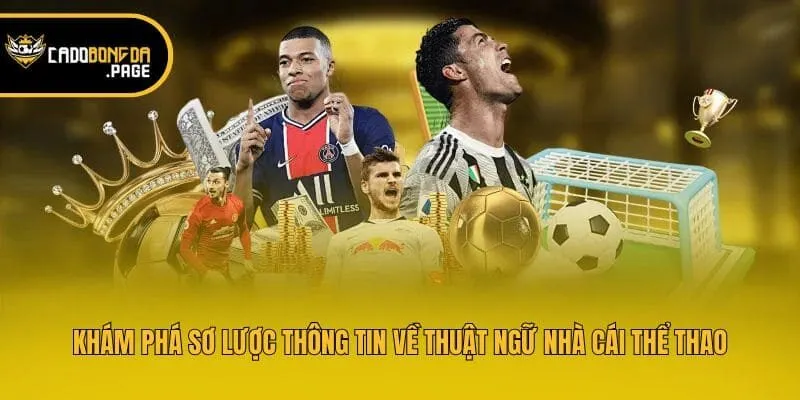 Khám phá sơ lược thông tin về thuật ngữ nhà cái thể thao