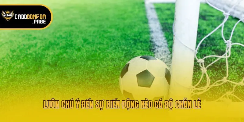 Luôn chú ý đến sự biến động kèo cá độ chẵn lẻ