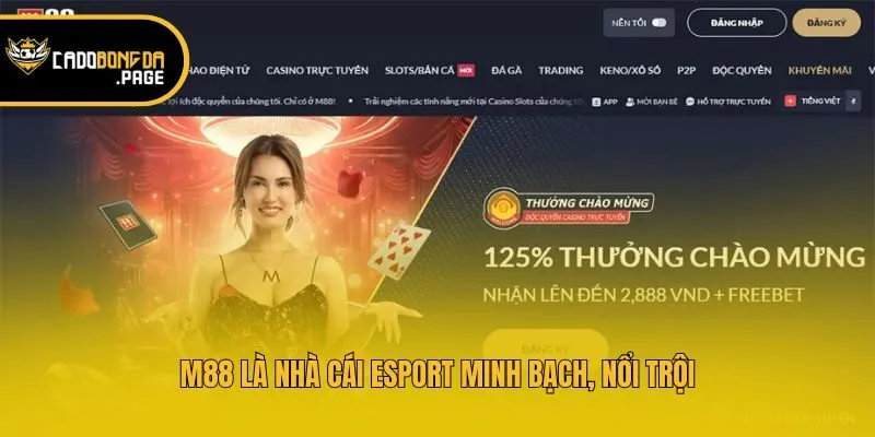 M88 là nhà cái Esport minh bạch, nổi trội