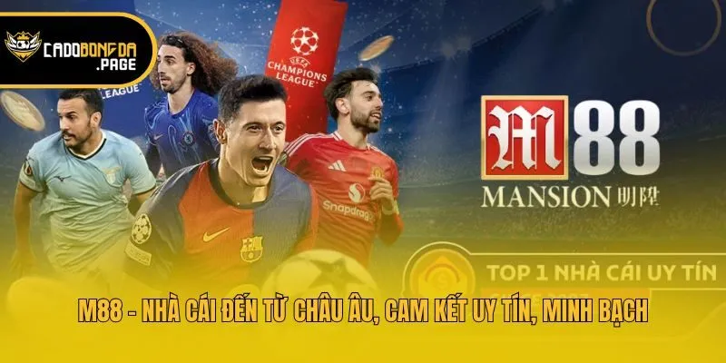 M88 - Nhà Cái Đến Từ Châu Âu, Cam Kết Uy Tín, Minh Bạch