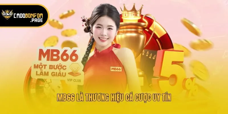MB66 là thương hiệu cá cược uy tín