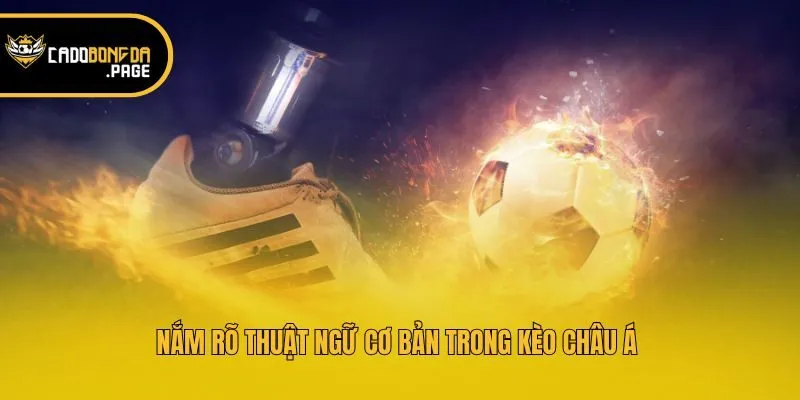 Nắm rõ thuật ngữ cơ bản trong kèo Châu Á 