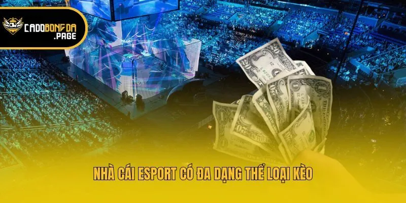 Nhà cái Esport có đa dạng thể loại kèo