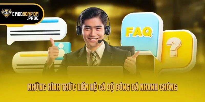 Những hình thức liên hệ Cá độ bóng đá nhanh chóng