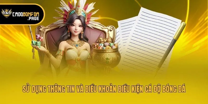 Sử dụng thông tin và điều khoản điều kiện cá độ bóng đá