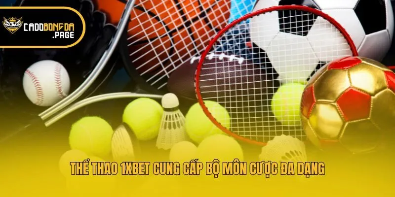Thể thao 1xbet cung cấp bộ môn cược đa dạng