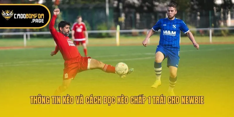 Thông tin kèo và cách đọc kèo chấp 1 trái cho newbie