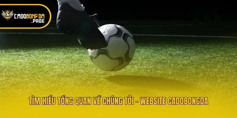 Tìm hiểu tổng quan về chúng tôi - website cadobongda