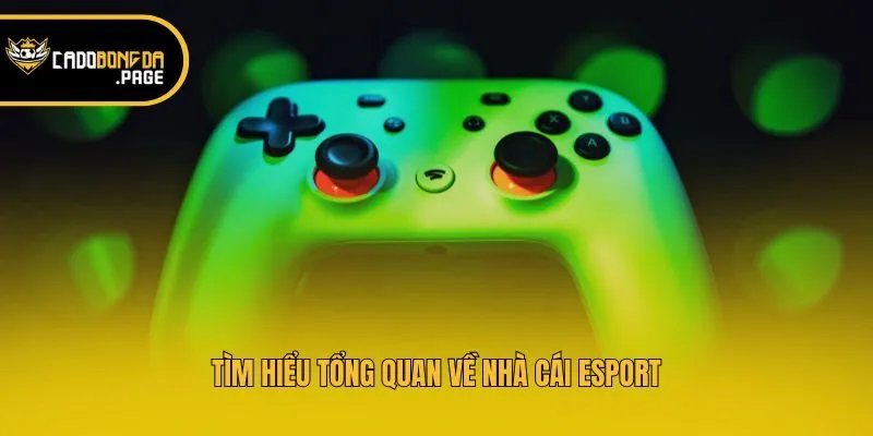 Tìm hiểu tổng quan về nhà cái Esport