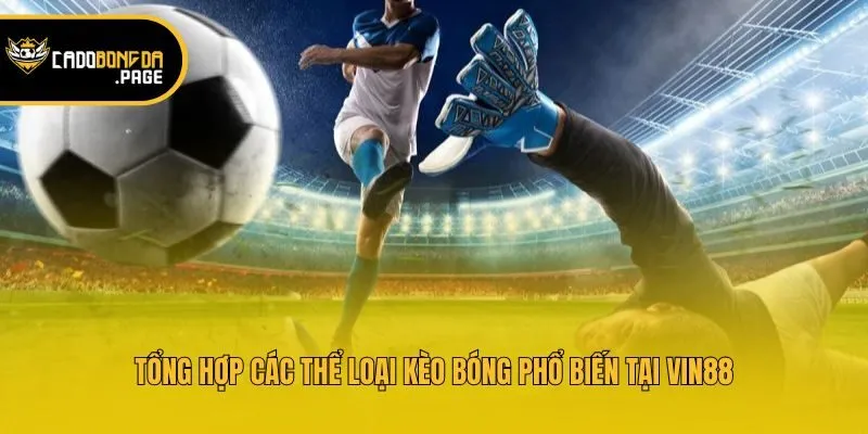 Tổng hợp các thể loại kèo bóng phổ biến tại Vin88