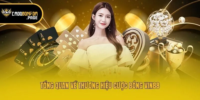 Tổng quan về thương hiệu cược bóng Vin88