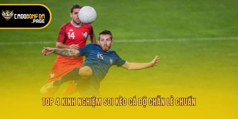 Top 4 kinh nghiệm soi kèo cá độ chẵn lẻ chuẩn