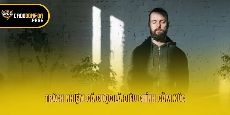 Trách nhiệm cá cược là điều chỉnh cảm xúc