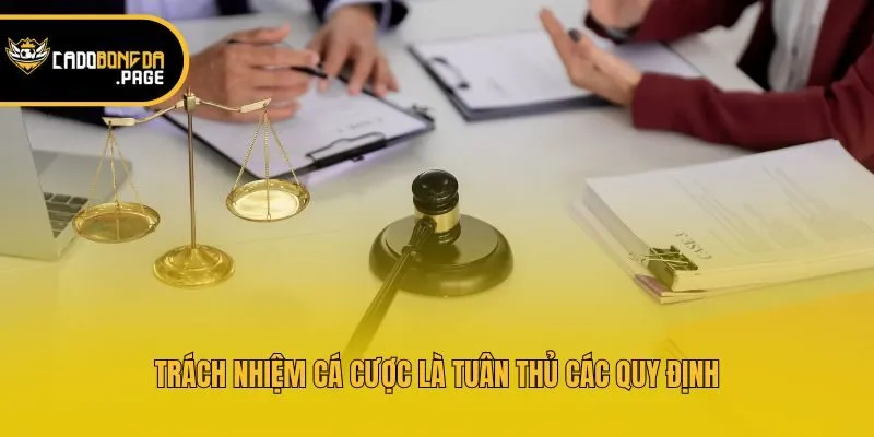 Trách nhiệm cá cược là tuân thủ các quy định