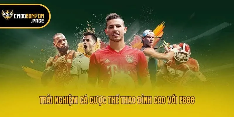 Trải nghiệm cá cược thể thao đỉnh cao với Fb88