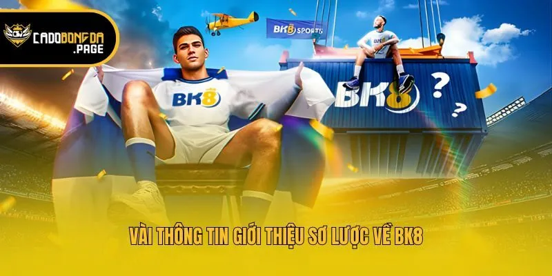 Vài thông tin giới thiệu sơ lược về BK8