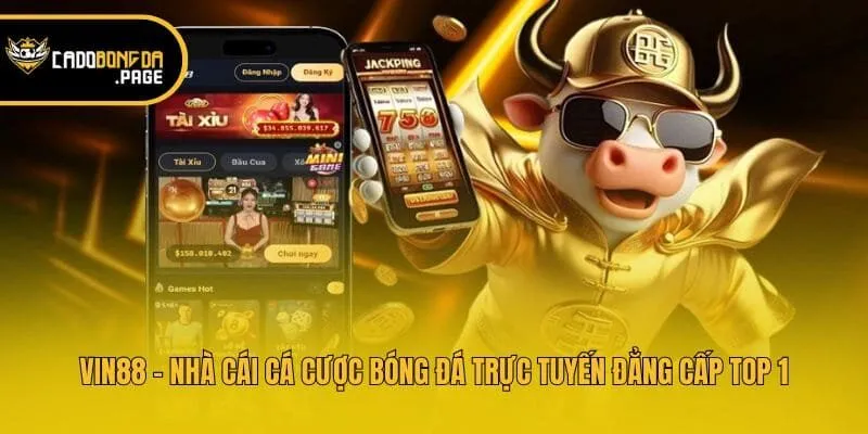 Vin88 - Nhà Cái Cá Cược Bóng Đá Trực Tuyến Đẳng Cấp Top 1