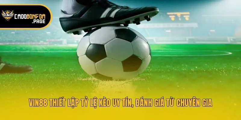 Vin88 thiết lập tỷ lệ kèo uy tín, đánh giá từ chuyên gia