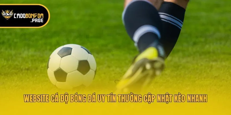 Website cá độ bóng đá uy tín thường cập nhật kèo nhanh